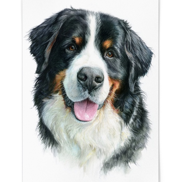 Watercolor Bernese Mountain Dog Portrait Print – Unframed Wall Art Poster - Picture 2 of 6